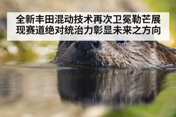 全新丰田混动技术再次卫冕勒芒展现赛道绝对统治力彰显未来之方向